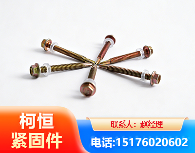 成都六角钻尾丝